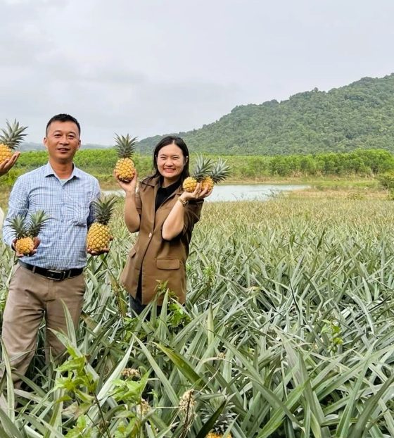 Trang trại mùa thu hoạch