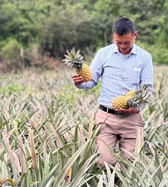 Trang trại mùa thu hoạch