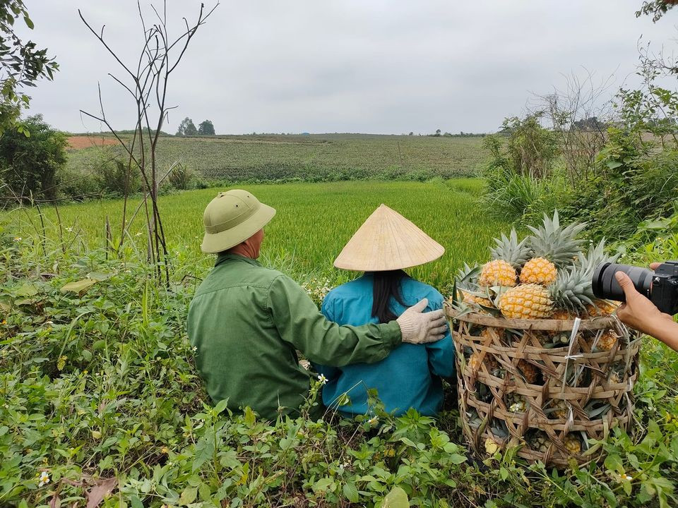 Trang trại dứa Hoa Hồng Đỏ